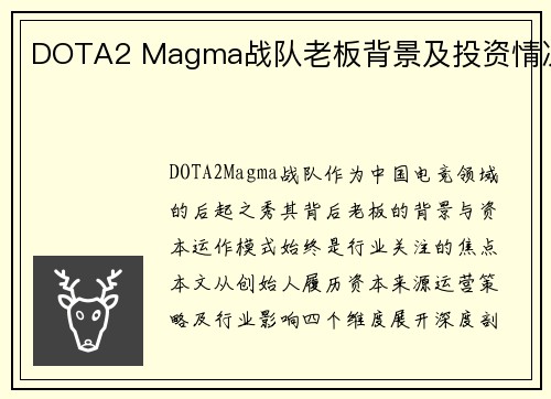 DOTA2 Magma战队老板背景及投资情况